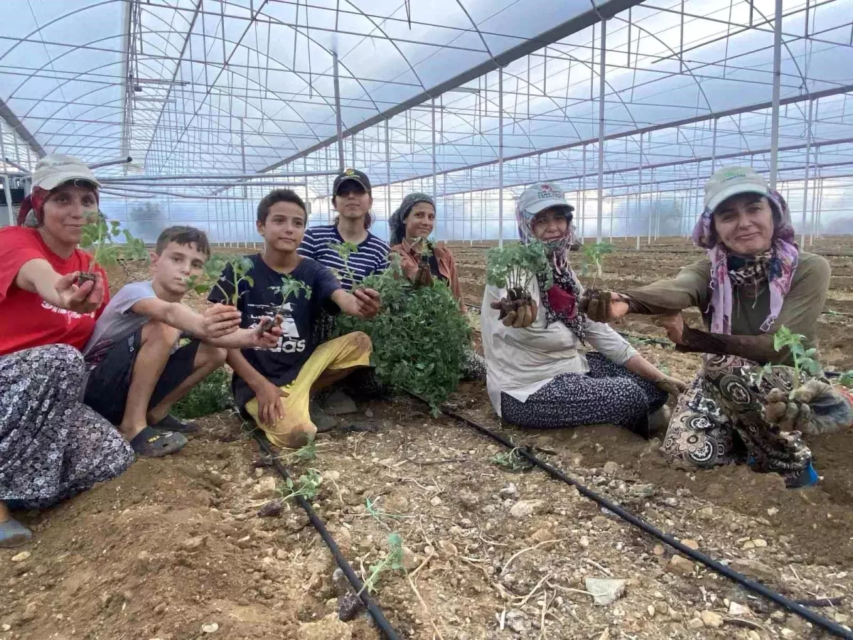 aksuda guz fide dikimleri basladi umQWIXuj