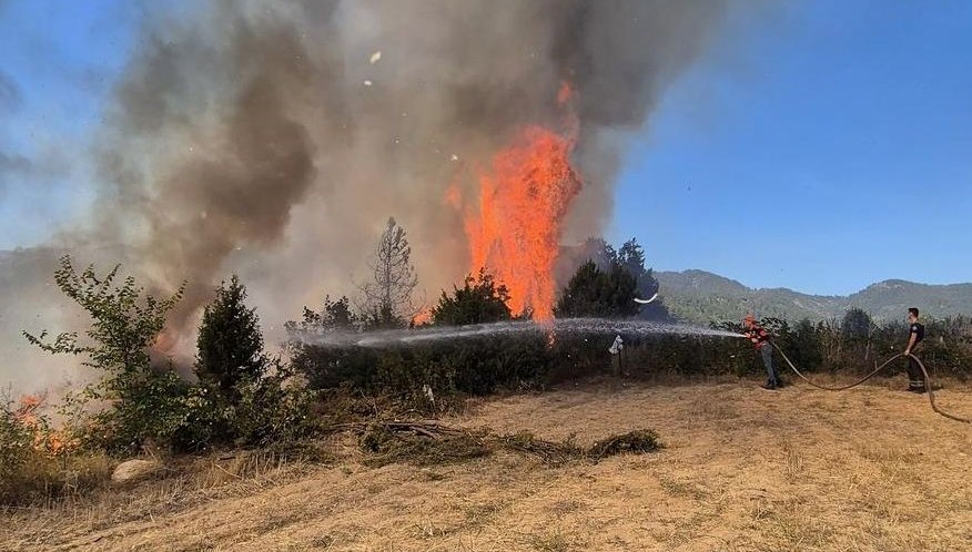 bursada orman yangini mudahale suruyor fqs7GpsZ