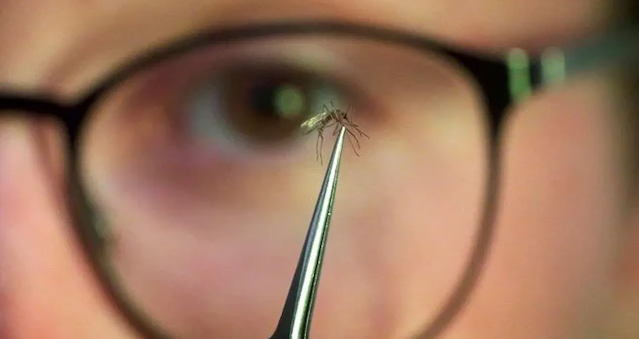 cinde yayilmaya baslayan salgin dunyayi endiselendiriyor HROTBEDb