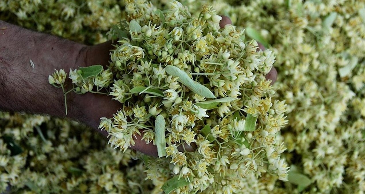 degeri altinla yarisiyor ama sonbahar geldi kapis kapis satiliyor rCJeJp5d.jpg