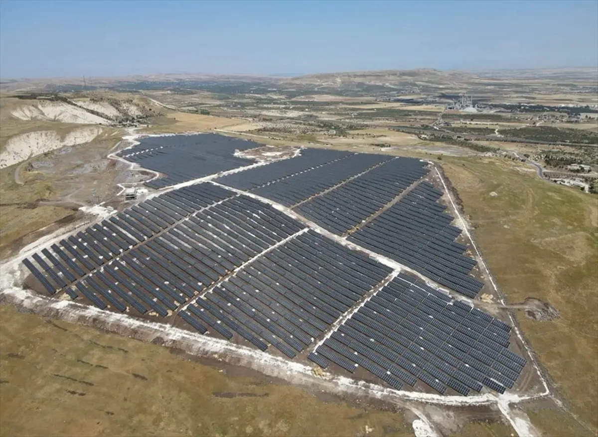 nesli tukenme tehlikesindeki cizgili sirtlan goruntulendi 1qs9wmQ5