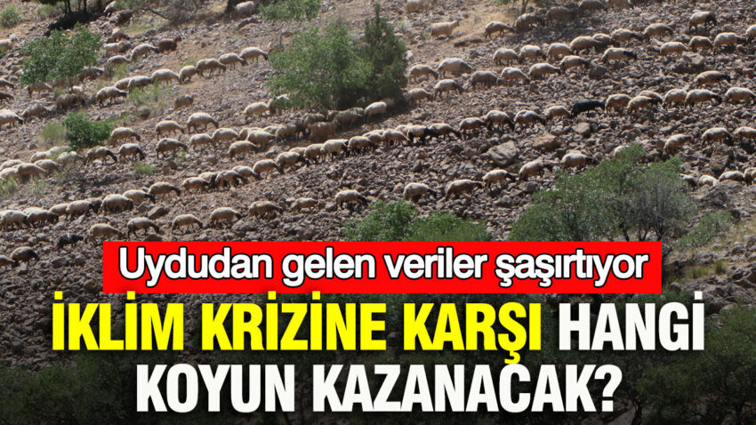 Iklim krizine karsi hangi koyun kazanacak uydudan gelen veriler ne soyluyor fqKH8NU3